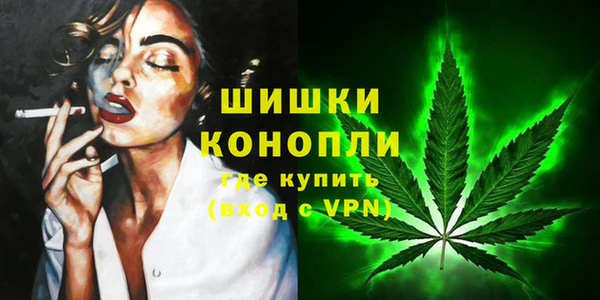 каннабис Аркадак