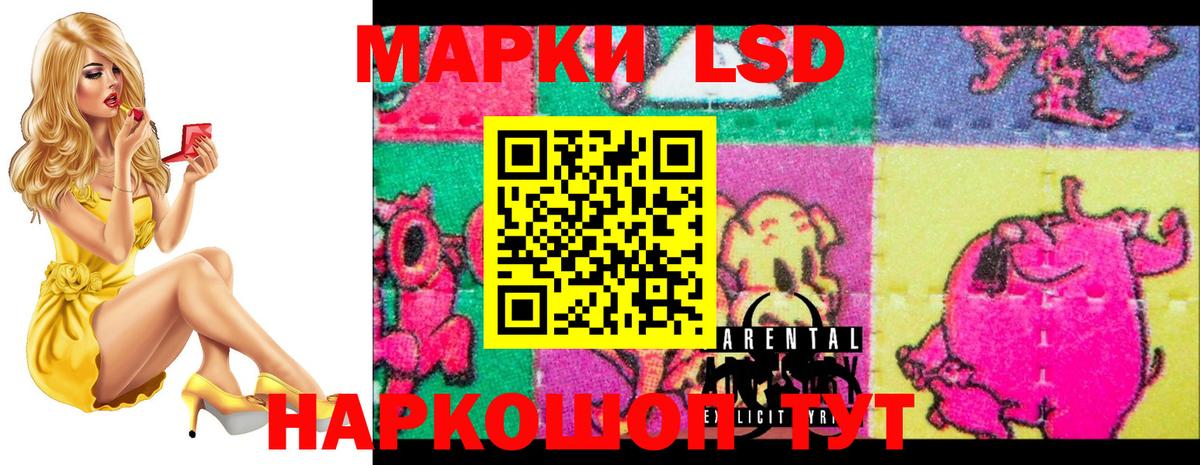 LSD-25 экстази  Вход с VPN  LSD-25 экстази ecstasy  OMG ONION  LSD-25 экстази ecstasy  Нарткала 