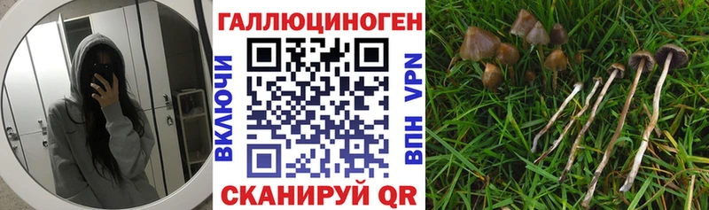 Галлюциногенные грибы мухоморы  цена наркотик  Нарткала 