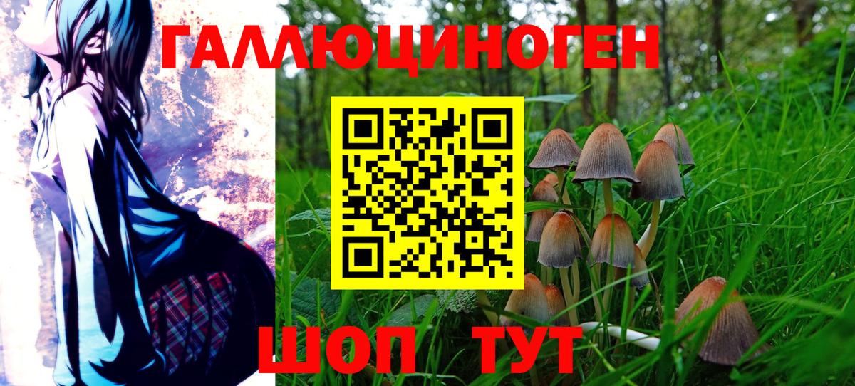 Нарткала  Галлюциногенные грибы MAGIC MUSHROOMS  Вход с VPN 