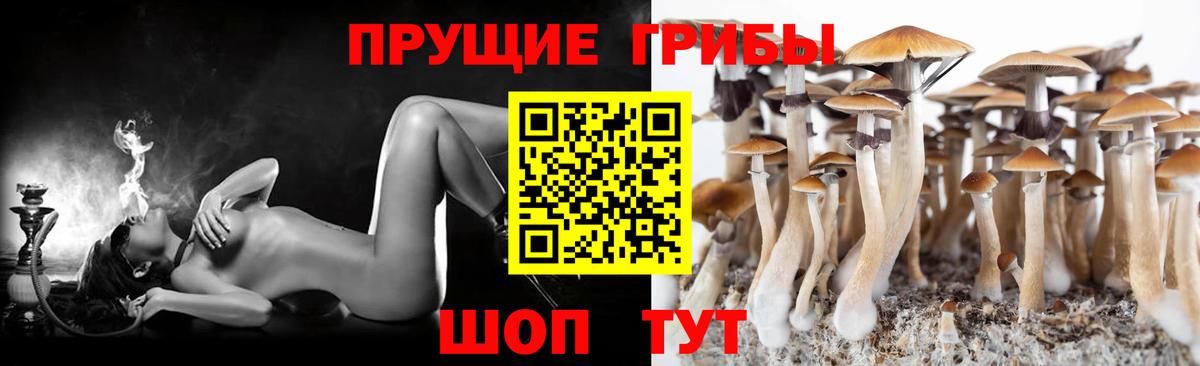 Псилоцибиновые грибы GOLDEN TEACHER Нарткала